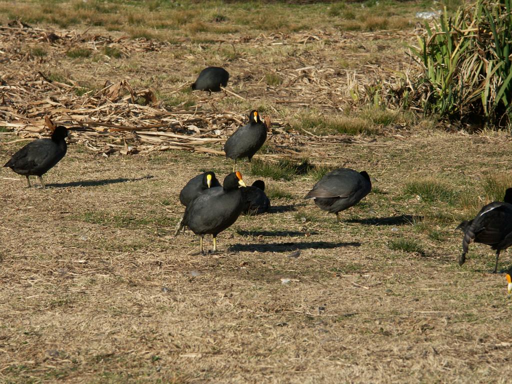 090809_San_Ceferino 071.jpg
